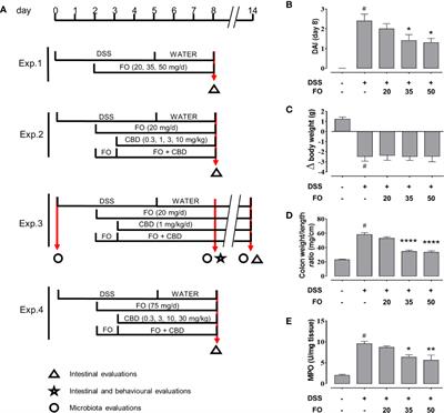 Fish Oil, Cannabidiol and the Gut Microbiota: An Investigation in a Murine Model of Colitis